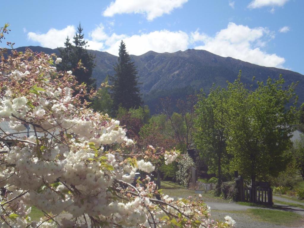 Harrogate Gardens Motel Hanmer Springs Exterior photo