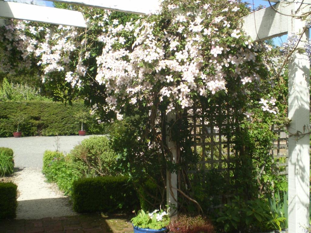 Harrogate Gardens Motel Hanmer Springs Room photo